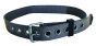 3M™ DBI-SALA® ExoFit™ Tongue Buckle Belt with No D-ring or Hip Pad, Medium